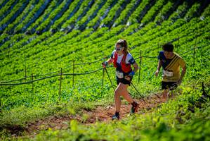 BIB: 
                            <button type="button" onclick="openModal(19162218)" class="btn btn-primary btn-sm float-right btn-popup" data-toggle="modal" data-target=".modal-high-quality">
                        <i class="fas fa-shopping-cart"></i> Add to Cart
                    </button>
                                            <button type="button" onclick="isThisMe(19162218, true)" class="btn btn-success btn-sm float-right btn-popup btn-isme hidden" data-toggle="tooltip" data-placement="bottom" title="นี่คือรูปของคุณใช่ไหม คลิกที่นี่เพื่อเอาเข้าอัลบั้ม">
                        <i class="fas fa-plus"></i> Add to album
                    </button>
                    <button type="button" onclick="isThisMe(19162218, false)" class="btn btn-warning btn-sm float-right btn-popup btn-isnotme hidden">
                        <i class="fas fa-ban"></i> Remove from album
                    </button>